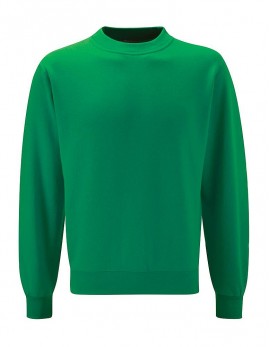 Darfield All Saints Emerald PE sweatshirt